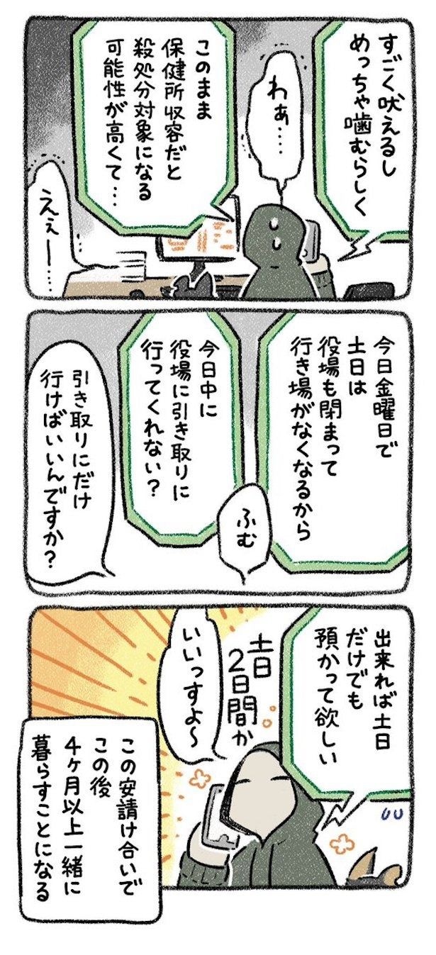 保護犬茶々のお話【第1話】(2)