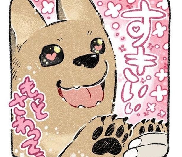 「このままだと殺処分に…」決死の保護から判明した捨て犬の“トラウマ”と驚愕の真相→奇跡の記録に「号泣」【作者に聞く】