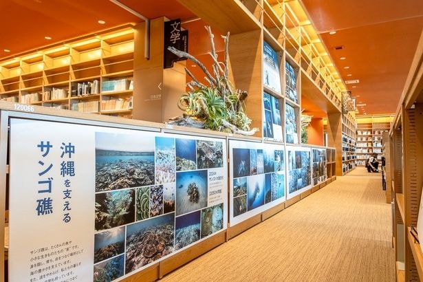  写真展などイベントも定期的に開催されている