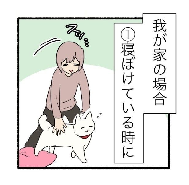 寝起きの瞬間を狙う！