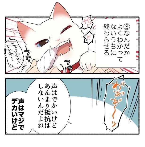 「やめろ～」と叫ぶわりには、抵抗はしてこない