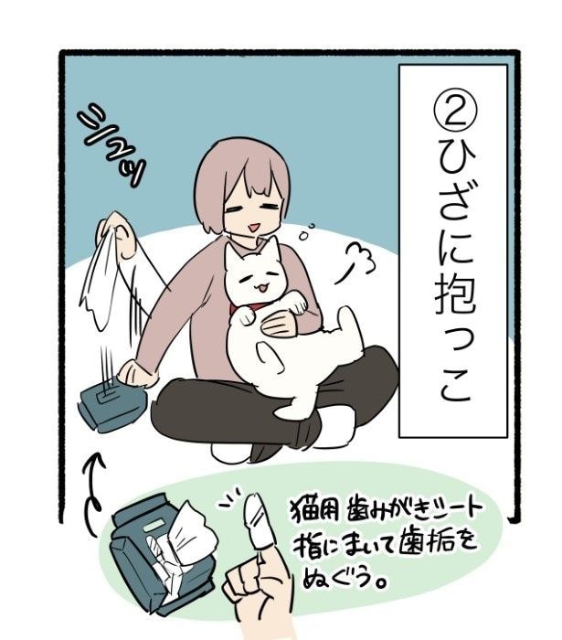 抱っこが大好きな甘えん坊な猫はまだこれから何が起こるかわかっていない