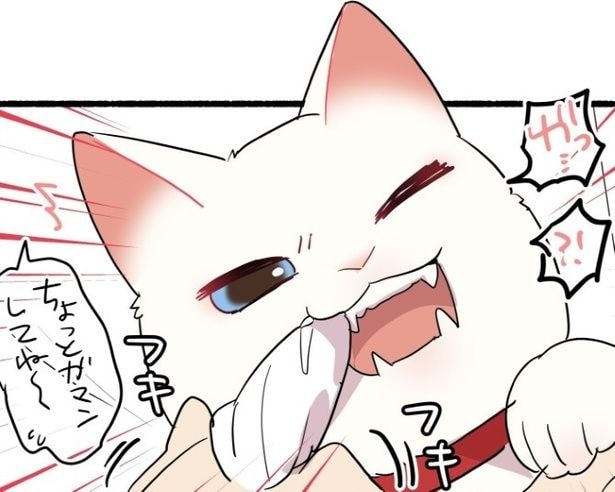 【ねこ漫画】歯磨きに抵抗する猫に「かわいい抵抗w」「ちょろかわいい」「それでもひっくり返される…」の声【作者に聞く】
