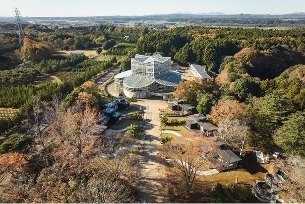 約600種・5万本の植物が彩る敷地内に、45棟の宿泊施設が点在
