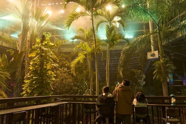 熱帯植物館2階のカウンター席から眺めるのがおすすめ！