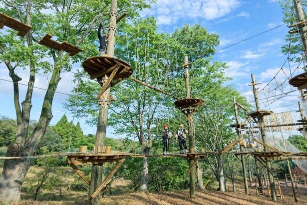木々の間を縫うコースが連なる、立体的なアドベンチャーフィールド