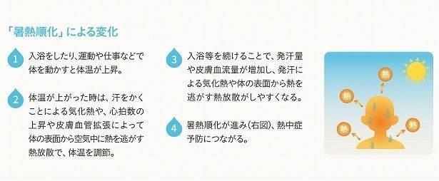 「暑熱順化」が進むと熱中症予防につながる