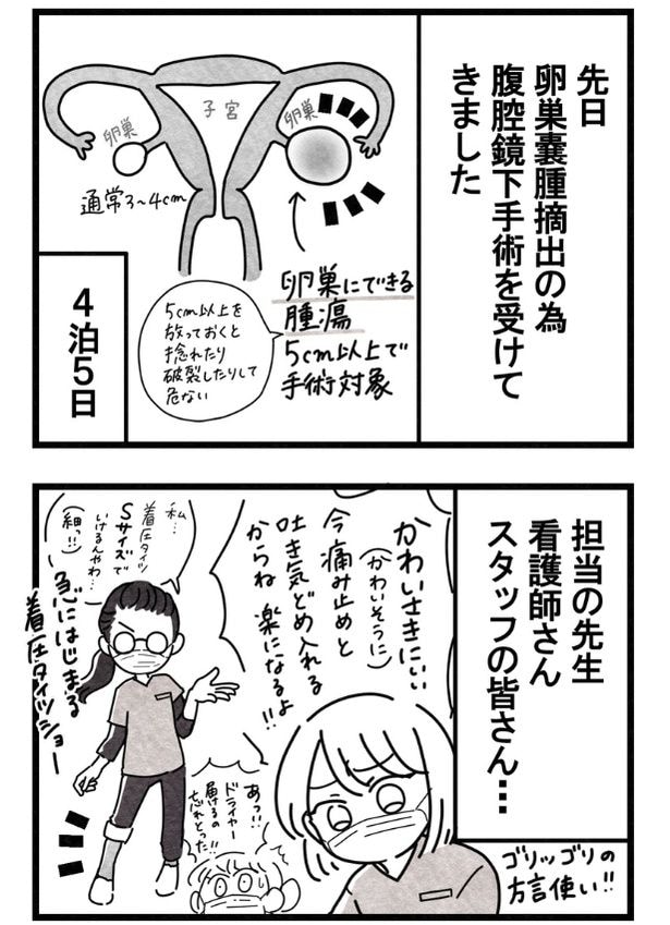『卵巣嚢腫手術レポ』01