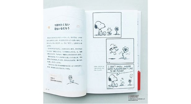 【画像】コミックと解説が見開きで楽しめる構成
