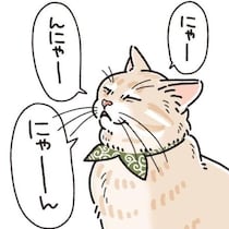 【ネコ漫画】「にゃんですと!?」騙された愛猫の表情がかわいい！“華麗な二度見”に読者爆笑！【作者インタビュー】