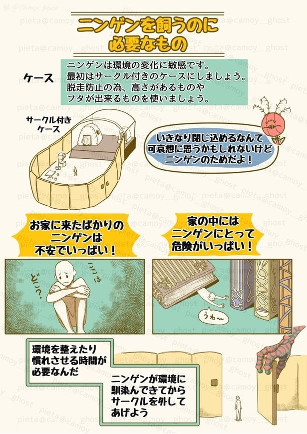 ニンゲンの飼い方「ニンゲンを買うのに必要なもの」1