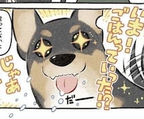 パニック障害で引きこもり「犬は無理」→ドーベルマンを飼ったら…劇的すぎる肉体の変化に驚愕【作者に聞く】