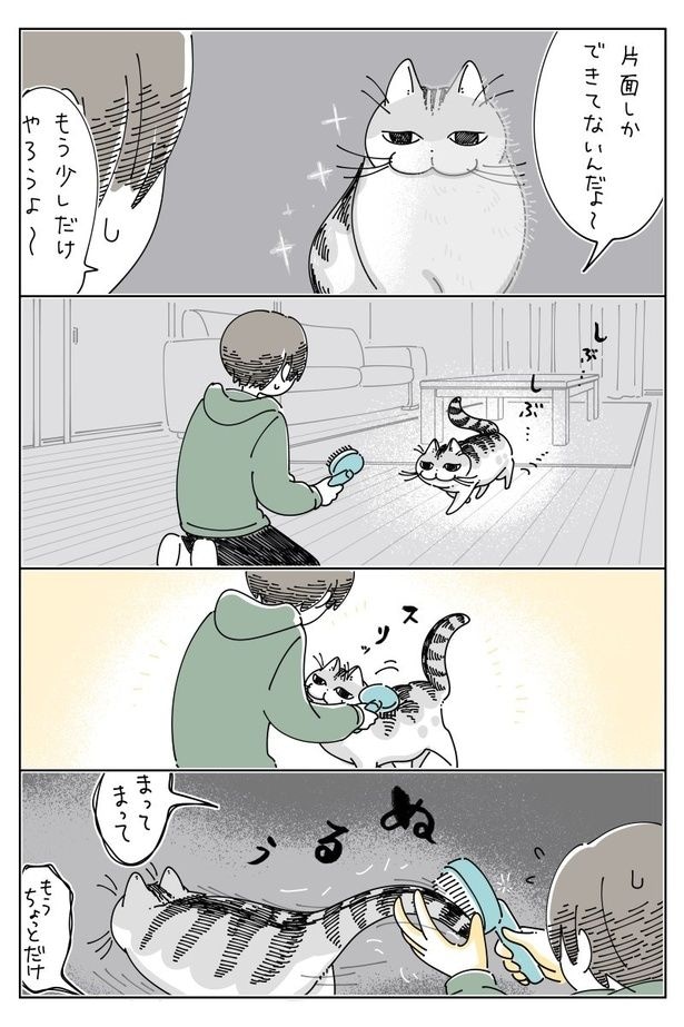 03