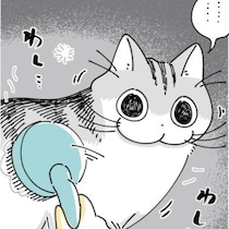 【ネコ漫画】飼い主にブラッシングされる愛猫!?その姿に「乗り気でないのもかわいい」など共感コメント＆6.5万の大反響