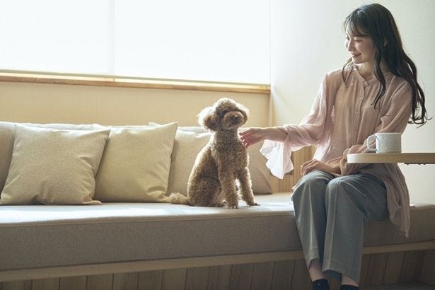 2026年4月21日開業の「OMO7横浜」には愛犬と宿泊できるドッグフレンドリールームが32室