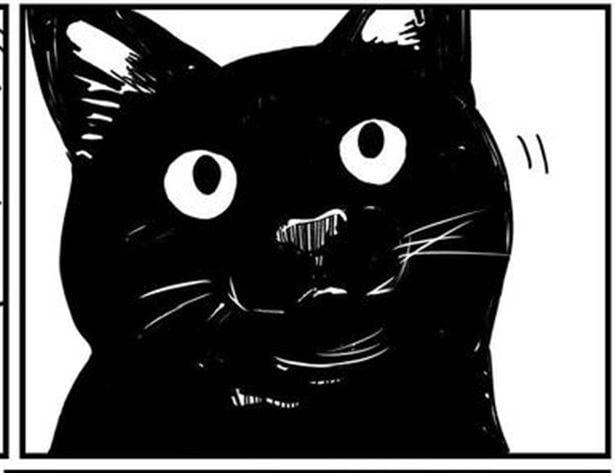 「夢で威嚇する亡き愛猫…」怪奇現象の真実は？「夢でも会いたい」と願う飼い主を守る愛の警告に2.3万人が「感動」【作者に聞く】