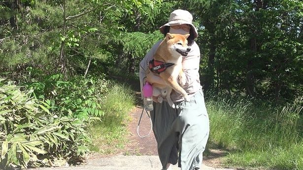 最終的に、ママさんの抱っこで車へ