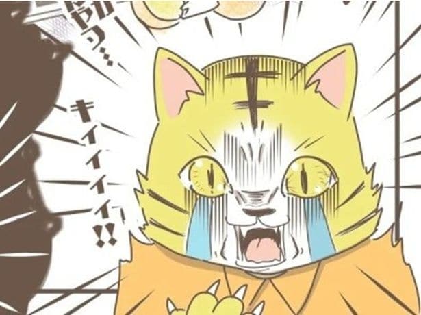 「男の子の育児は絶対損?」→2児の母に放たれた衝撃の真実に「泣けてきた」「男の子育児の闇」【作者に聞く】