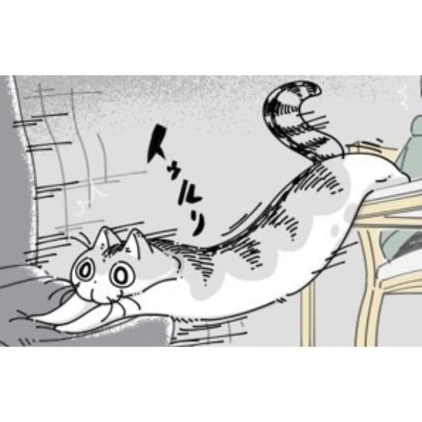 どうしても椅子の上に乗りたい猫