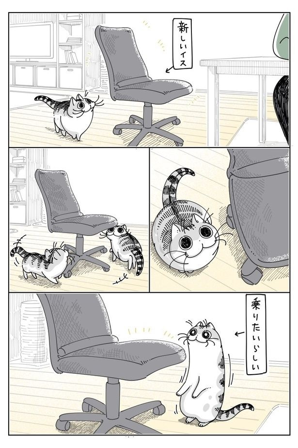 『新しい椅子』01