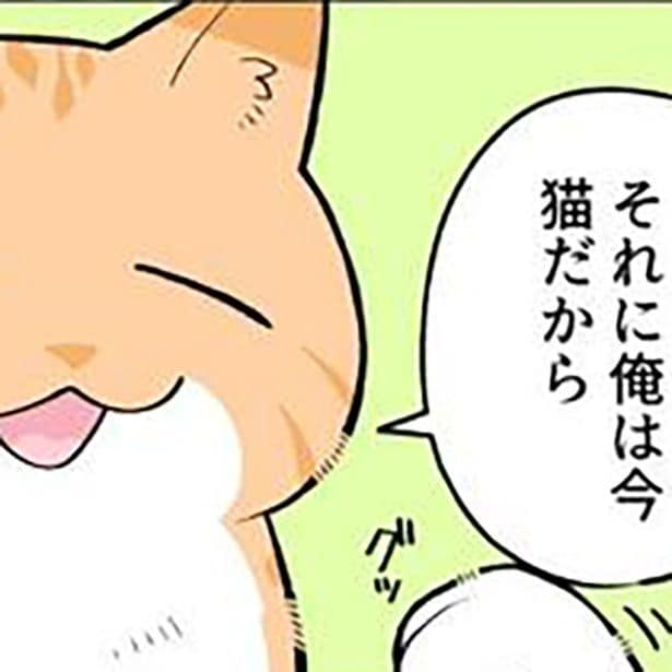 猫がブラック企業を変える!?モフモフパワー炸裂!ブラック企業の社畜が猫に転身して人生大逆転【作者インタビュー】