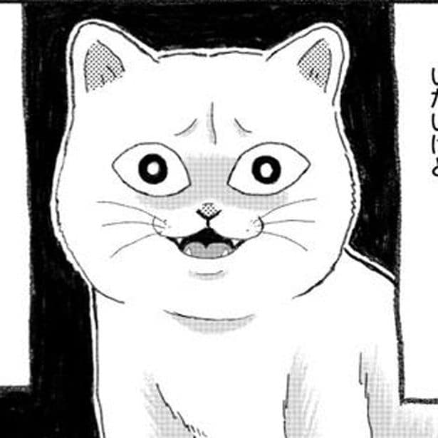 第1話 猫いないからの猫いる