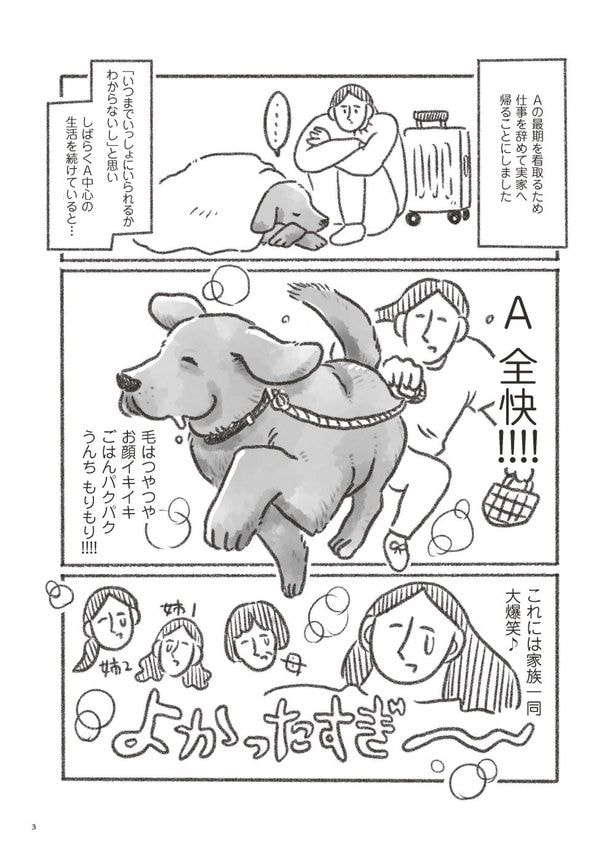 老犬とつづ井 はじめに(2)