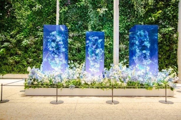 白とグリーンの植物が宙に浮かぶStill Water Garden