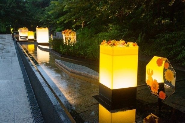 イエローの花と光が水面に広がるReflection Water Garden