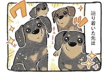 「もう犬は飼わない」4年で愛犬と死別も、元野良犬たちと出会い「優しい世界」を取り戻す感動秘話【作者に聞く】