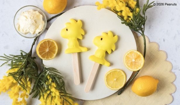  ウッドストック型の「レアチーズケーキ」(650円)