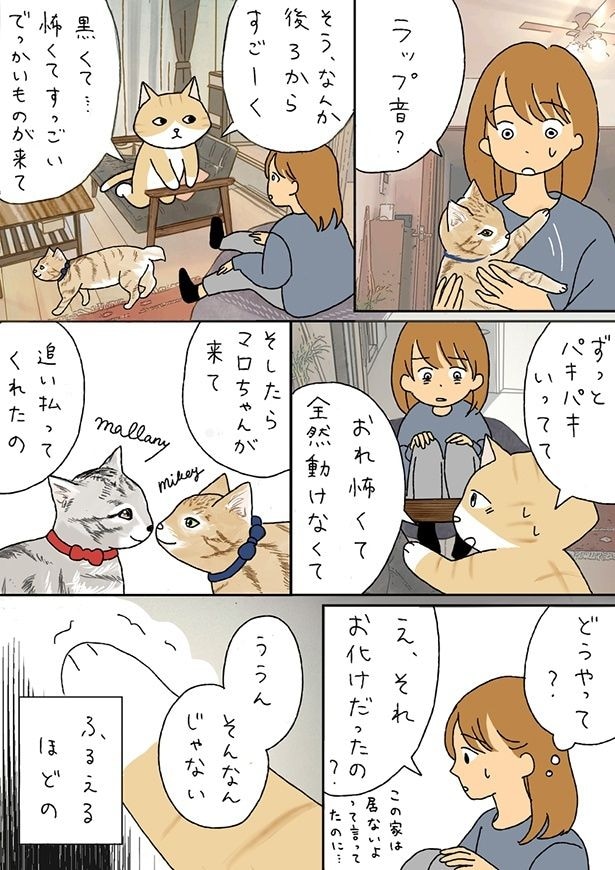 マロちゃんに助けられたときのことを話す旦那さん