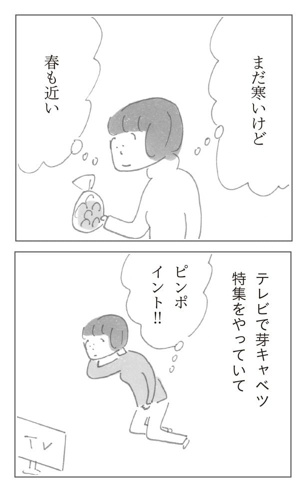 芽キャベツ_2