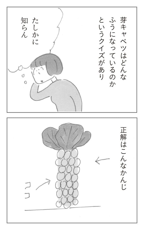 芽キャベツ_3