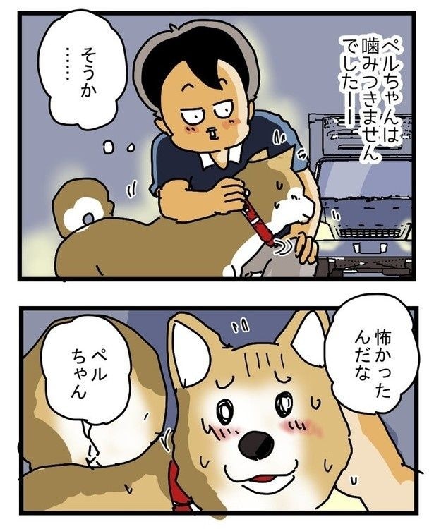 かみつきペルちゃんP06