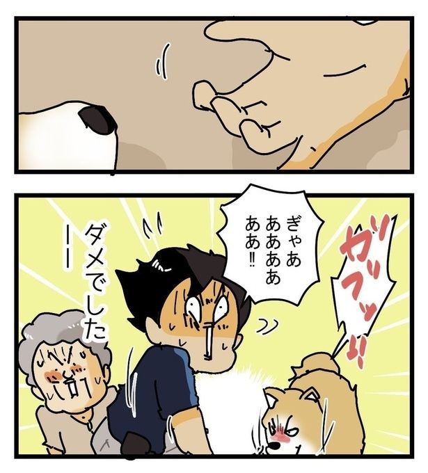 かみつきペルちゃんP11