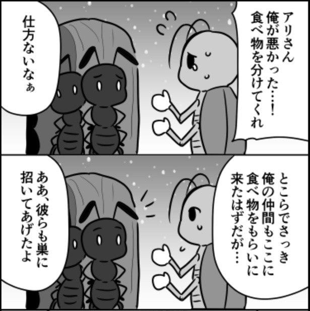 ウミガメのスープ01