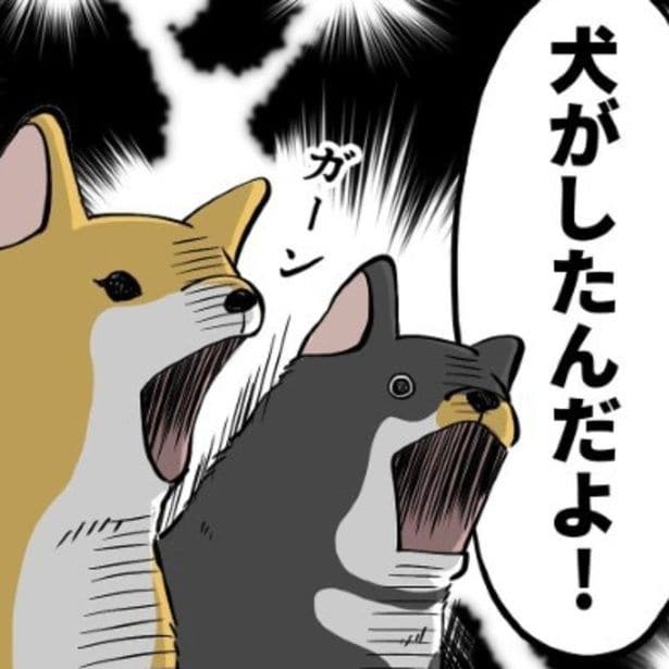 家族の誰もがおならしたことを認めず、まさかの「犬がしたんだよ！」。