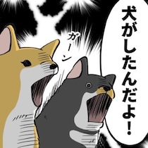 「おならしたの誰!?」家族の疑いはなぜか柴犬へ…「冤罪ですワン」犬焦る！愛犬家たちの“冤罪あるある”コメントが集結【作者に聞く】