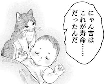 苦しむ愛猫「救急車呼んで！」→“救えない命”を知った少年の20年後…熱きER獣医の誕生秘話に「胸が熱くなる」【作者に聞く】