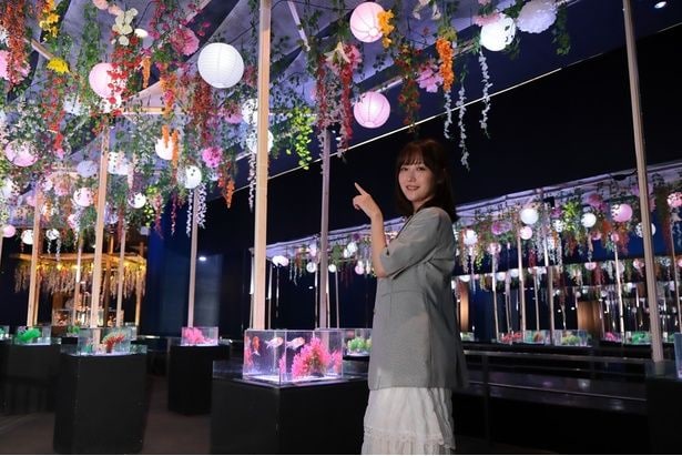 約300匹の金魚と色鮮やかな花の装飾が幻想的な空間を演出