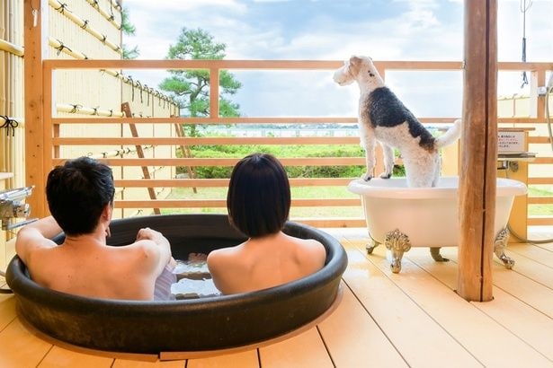 開放的な景色を眺めながら愛犬と同じ空間で温泉を堪能!ペット歓迎の宿ならではの充実した設備で、お互いにリフレッシュできるのがうれしい