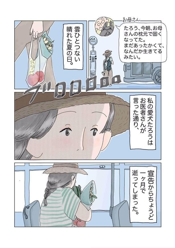 「今日の夕方にはお別れです。」02