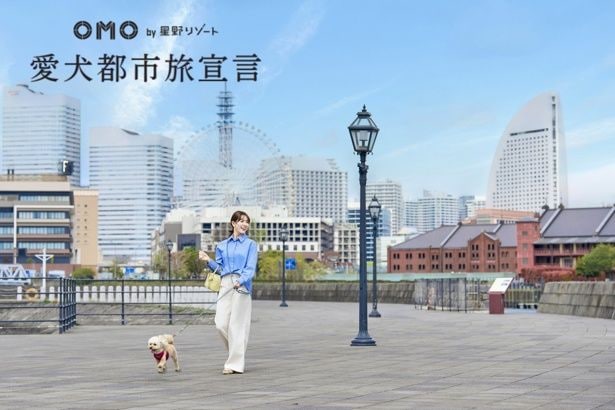 横浜の街ナカには愛犬と一緒に過ごせるカフェや飲食店、散歩できるエリアが多数