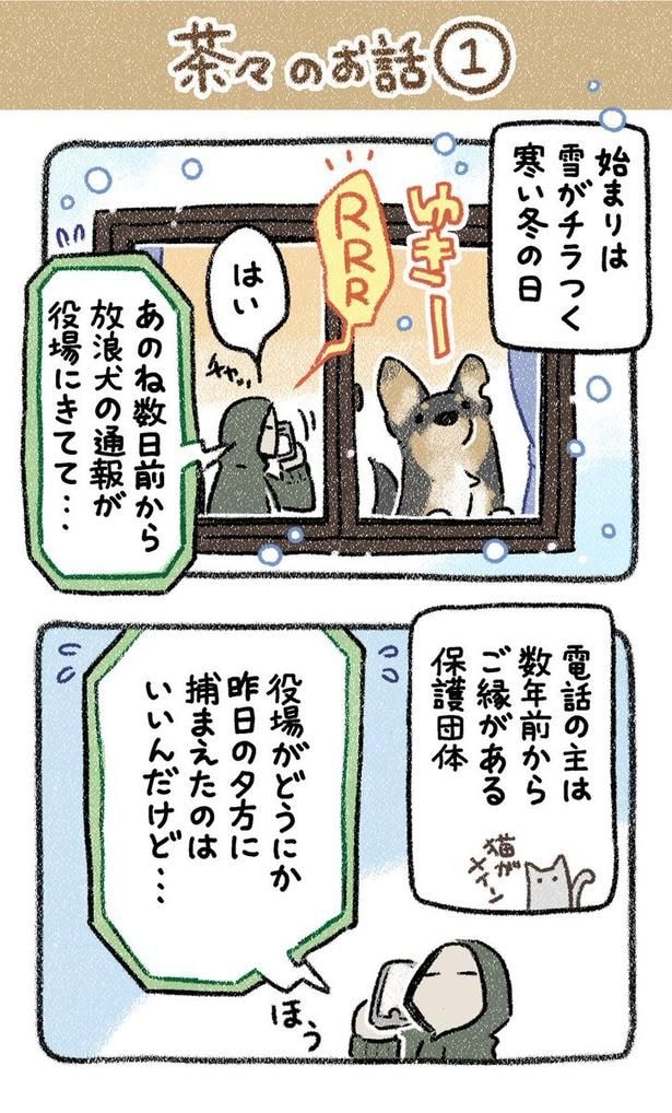 【漫画】吠えまくる放浪犬を引き取ったが?