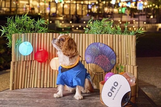 OMO7大阪 夏のフォトスポット