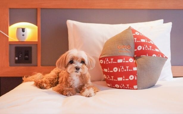 OMO7横浜の客室でリラックスする愛犬を見守るFurboペットカメラ