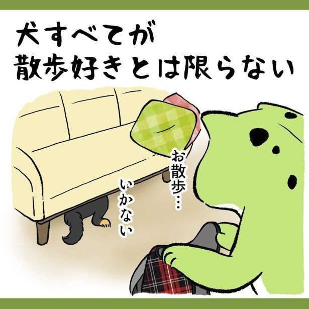 え?犬って無条件に散歩が好きじゃないの!?と唖然…