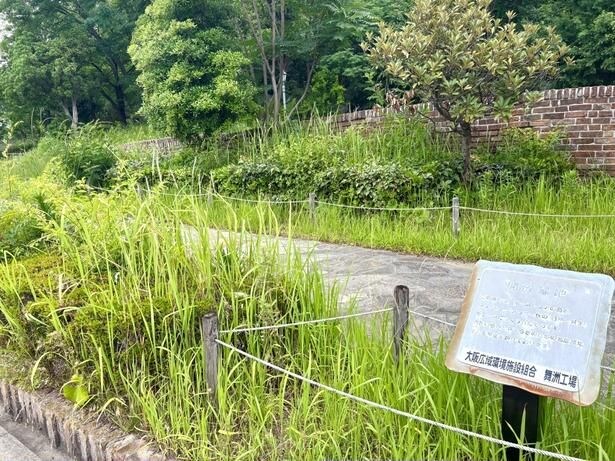 「開放緑地」の入り口。緑が多いため、「テーマパークなのではないか」と錯覚してしまう