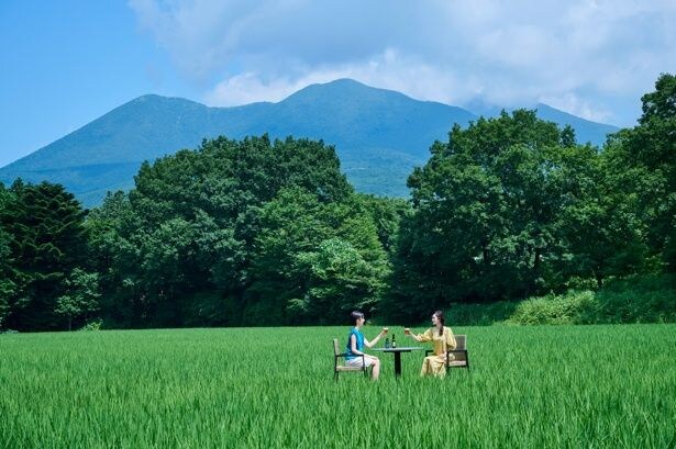 「田んぼビアガーデン」滞在イメージ